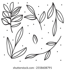 Botanical elements are illustrated with simple black lines on a white background