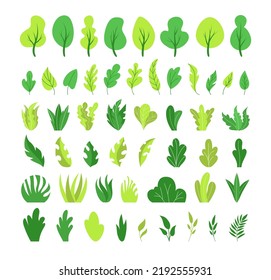 Botanical elements. Plant leaves, cute bush, tree leaf collection. Minimal jungle foliage, green grass and branches, minimal simple garden objects for decor. Vector cartoon illustration set