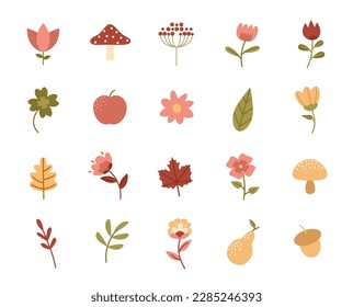 Botanical elements set. Collection of icons for website. Bright flowers and exotic plants. Mushroom, apple, acorn, pear and foliage. Cartoon flat vector illustrations isolated on white background