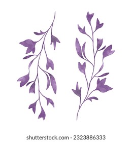 Elementos botánicos de acuarela. Ramas púrpuras con hojas aisladas, arte botánico
