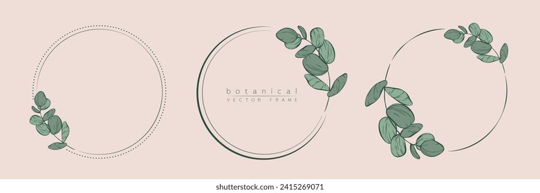 Botanical eucalyptus circle frame set. Hand drawn round line border, leaves and flowers for wedding invitation and cards, logo design, social media and posters template. Elegant minimal vector.	