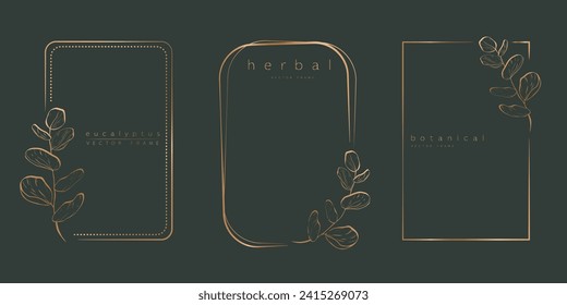 Botanical eucalyptus circle frame set. Hand drawn round line border, leaves and flowers for wedding invitation and cards, logo design, social media and posters template. Elegant minimal vector.	