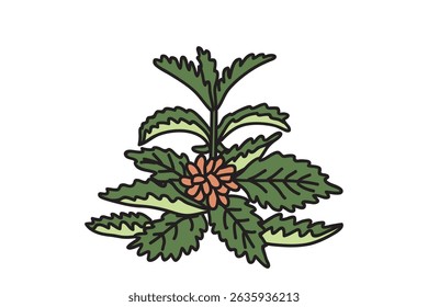 Botanical exotic flower isolated on white background. Hand drawn tropical plant with orange Flowers green Leaves Stems vector illustration. Graphic design element for Birthday Wedding Greeting Card 