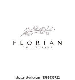 Botanical feminine logo concept. Beauty care or fashion design template. Vector illustrator