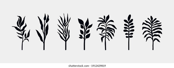 Botanical flat flower set. Abstract minimalist floral collection, creative herbal art. Vector illustration