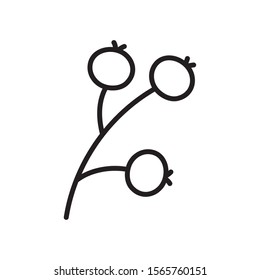 botanical flora branch fruits on white background vector illustration thick line