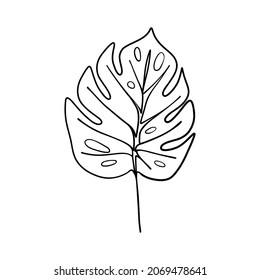 Botanical floral branch. Abstract continuous one line drawing, doodle monstera art. Vector illustration