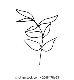 Botanical floral branch. Abstract continuous one line drawing, doodle organic herb foliage. Vector illustration
