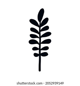 Botanical floral branch. Abstract minimalist plant design, hand drawn organic herbal art. Vector illustration