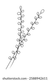 Botanical floral branch hand drawing. Vector illustration.