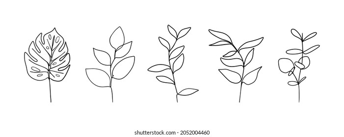 Botanical floral branch set. Abstract continuous one line drawing, organic herb foliage. Vector illustration