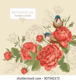 Botanical floral card in vintage style with blooming english roses and birds, vector illustration