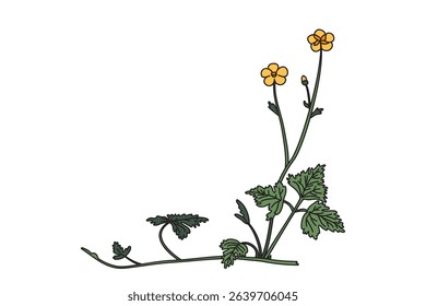 Botanical floral corner isolated on white background. Hand drawn wildflower plant with yellow Flowers green Leaves Stems vector illustration. Graphic design element for Birthday Wedding Greeting Card 