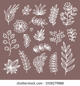 Botanical floral doodle design elements vector set