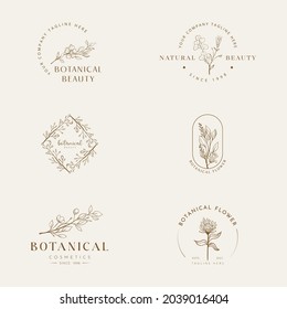 Botanical Floral element Hand Drawn Logo with Wild Flower and Leaves. Logo for spa and beauty salon, boutique, organic shop, wedding, floral designer, interior, photography, cosmetic.