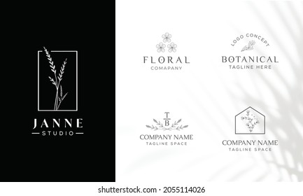 Botanical Floral element Hand Drawn Logo with Wild Flower and Leaves. Logo for spa and beauty salon, boutique, organic shop, wedding, floral designer, interior, photography, cosmetic