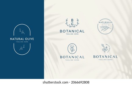 Botanische Blumen-handgezeichnete Logo-Vektorvorlage in elegantem und minimalem Stil.