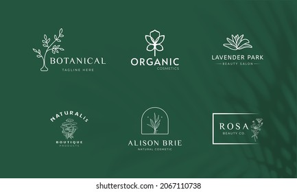 Botanical Floral element Hand Drawn Logo with Wild Flower and Leaves. Logo for spa and beauty salon, boutique, organic shop, wedding, floral designer, interior, photography, cosmetic.