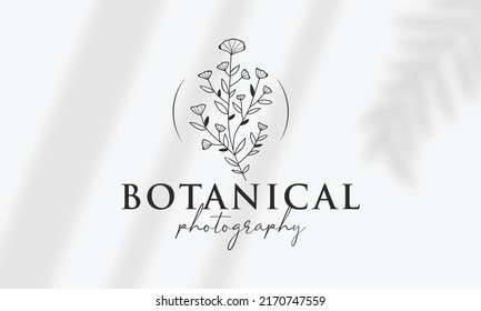 Botanical Floral element Hand Drawn Logo with Wild Flower and Leaves. Logo for spa and beauty salon, boutique, organic shop, wedding, floral designer, interior, photography, cosmetic.