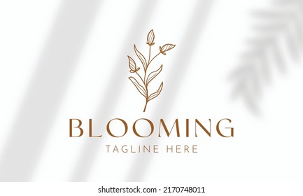 Botanical Floral element Hand Drawn Logo with Wild Flower and Leaves. Logo for spa and beauty salon, boutique, organic shop, wedding, floral designer, interior, photography, cosmetic.
