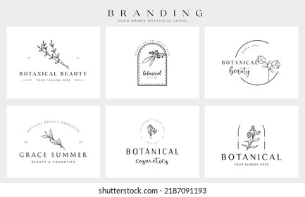 Botanical Floral element Hand Drawn Logo with Wild Flower and Leaves. Logo for spa and beauty salon, boutique, organic shop, wedding, floral designer, interior, photography, cosmetic.