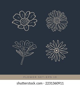 Botanical Floral element Hand Drawn Logo with Wild Flower and Leaves. Logo for spa and beauty salon, boutique, organic shop, weddings, floral design, interior, photography, jewelry, and cosmetics.