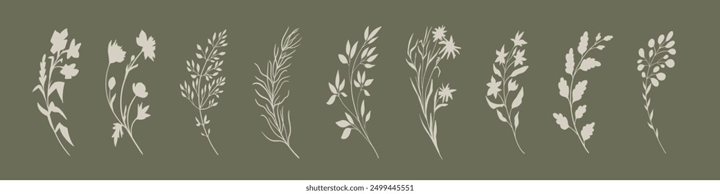Colección de Elementos florales botánicos.   Conjunto de flores, ramas y hojas. 