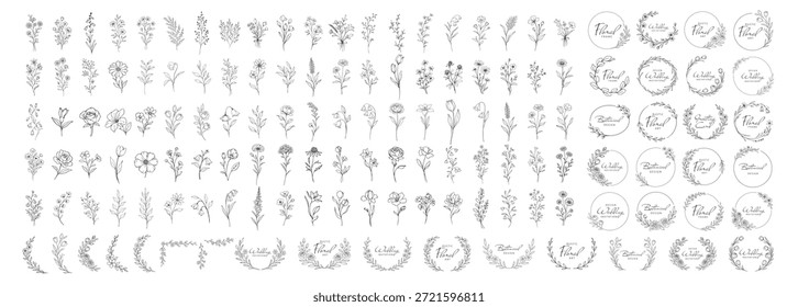 Colección de Elementos florales botánicos, flores dibujadas a mano ramas coronas y marcos, elegante Vector de arte de línea vintage para invitación de boda y diseño sobre fondo transparente