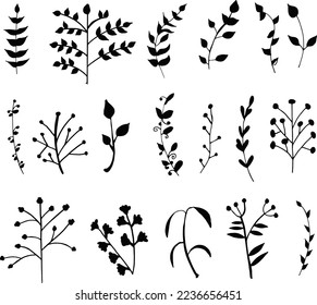 Botanical floral flower element's set isolated