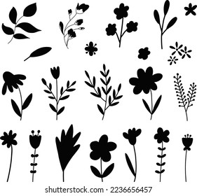 Conjunto de flor floral botánica aislado