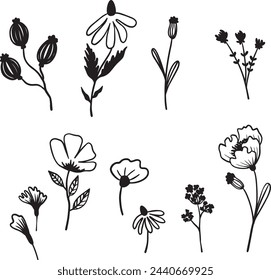 Botanical floral greenery set of isolated flower element hand draw clip arts, stickers