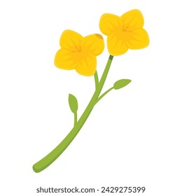 Botanical floral icon cartoon vector. Rapeseed flower. Mustard food