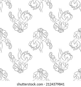 Botanical Floral pattern.Iris. Floral background. Large flowers. Graphic line drawing. Seamless pattern.