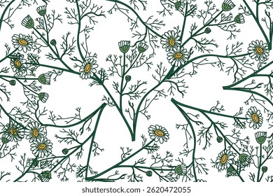 Botanical floral seamless pattern with chamomile flowers vector illustration. Repeating daisy plants in white background. Graphic design for Fashion Cover Textile Wedding Greeting Card Print Fabric