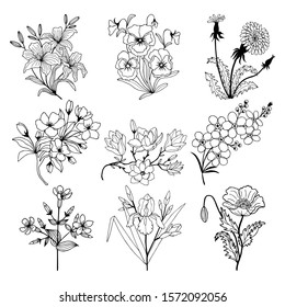 botanical Floral set set. magnolia flowers, pansies, dandelion, poppy, apple tree, lily, forget-me-nots, iris. eps10 vector illustration. hand drawing