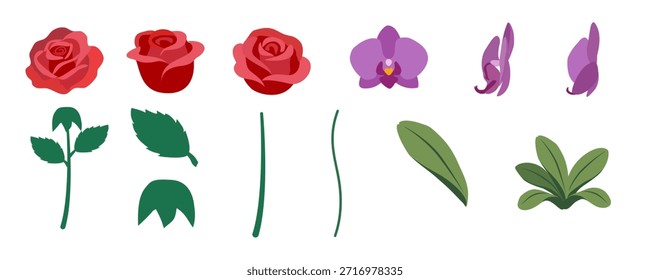 Botanical floral vector illustration set featuring rose flowers, orchid blooms, leaves and stems. Flat minimal design, isolated elements on transparent background. Suitable for wedding design, invitations, patterns, branding, packaging and decorative illustrations.