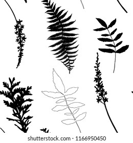 Botanical floral vector seamless pattern with hand drawn herbs, plants, flowers and leaves. 
