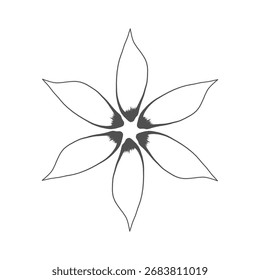 botánico floral, Vector, patrón transparente, hojas, conjunto grande, fondo, flores, fondo, textura de la flor
