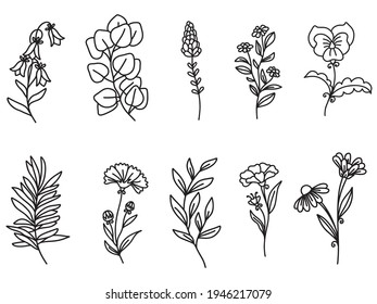 Botanical Floral Wildflowers Clipart. Summer Flowers and Plants. Vector illustration. svg