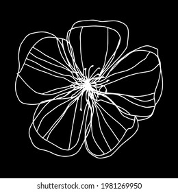 botanical floristic contour flower  blossom open buds . Vector isolated minimalistic flower