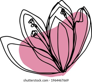 botanical floristic contour flower cherry sakura apple blossom open buds . Vector isolated minimalistic pink and black flower