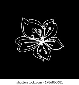 botanical floristic contour flower cherry sakura apple tree open buds. Vector single isolated minimalistic white and black flower