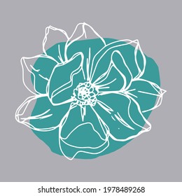 botanical floristic contour flower peonies open buds . Vector isolated minimalistic flower white grey green 