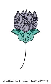 Botanical flower design of Floral nature plant garden ornament botany decoration and life theme Vector illustration