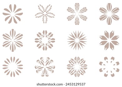 Botanical flower design set. Decorative floral vector