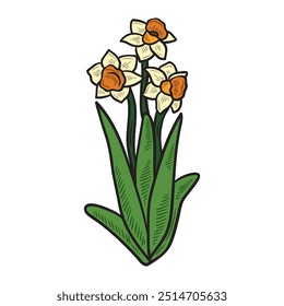 Botanical Flower Illustration Colored - Botanical Flower-02