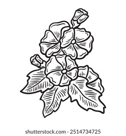 Botanical Flower Illustration Colorless - Botanical Flower-01