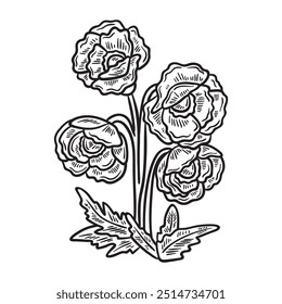 Botanical Flower Illustration Colorless - Botanical Flower-06