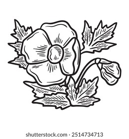 Botanical Flower Illustration Colorless - Botanical Flower-13