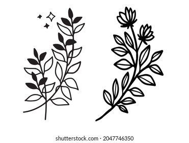 Botanical Flower Image Elegant Black and White Free Vector Download